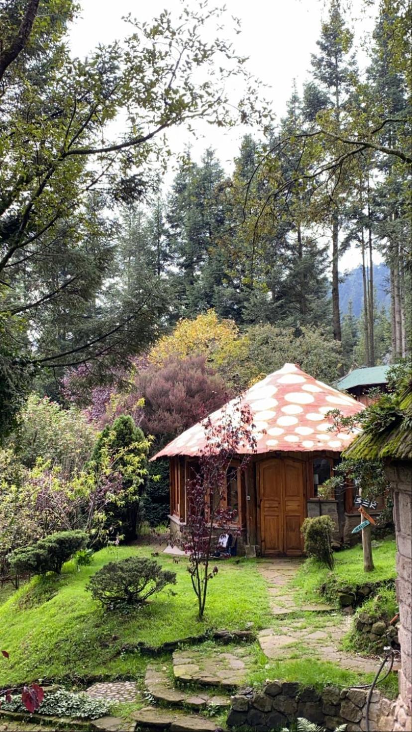 Hotel Boxque Teva Meksyk Zewnętrze zdjęcie